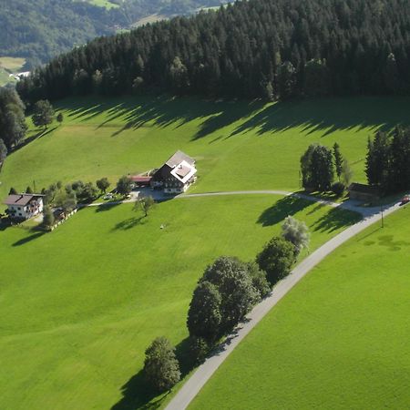 Haslehnerhof Villa Ramsau am Dachstein Luaran gambar