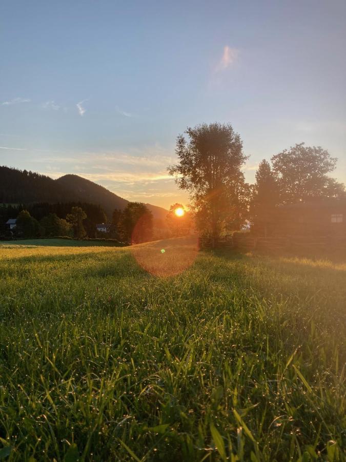 Haslehnerhof Villa Ramsau am Dachstein Luaran gambar
