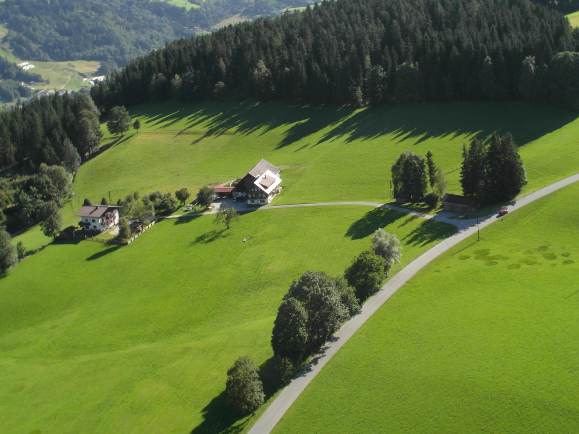 Haslehnerhof Villa Ramsau am Dachstein Luaran gambar