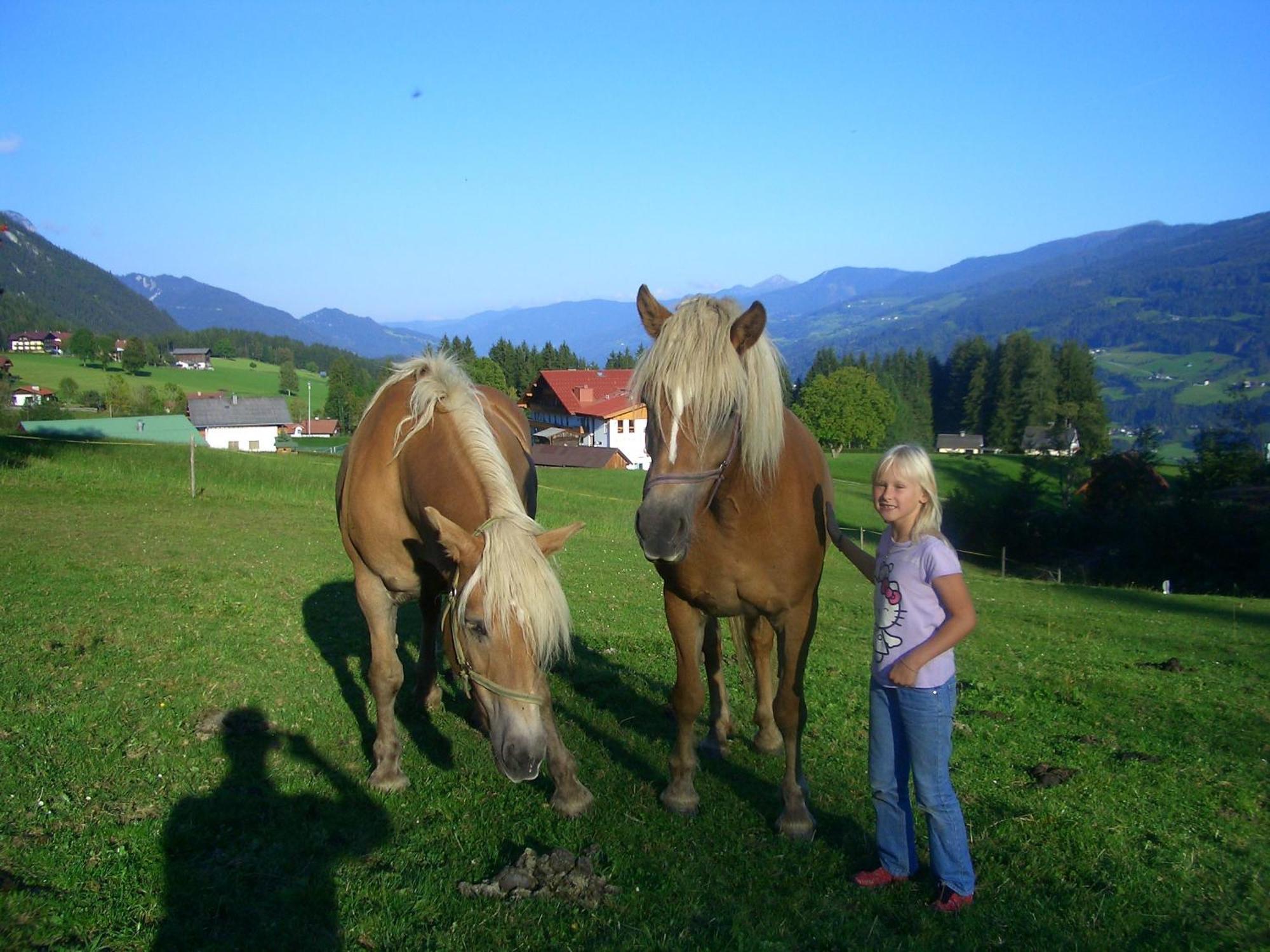 Haslehnerhof Villa Ramsau am Dachstein Luaran gambar